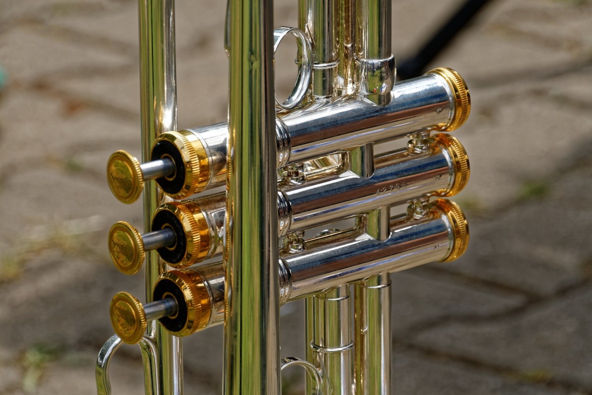 Blasinstrument Blasinstrument